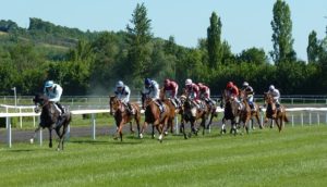 Bet On Betting Exchanges