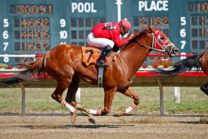 Why Some People Treat Betting as a Form of Personal Forecasting